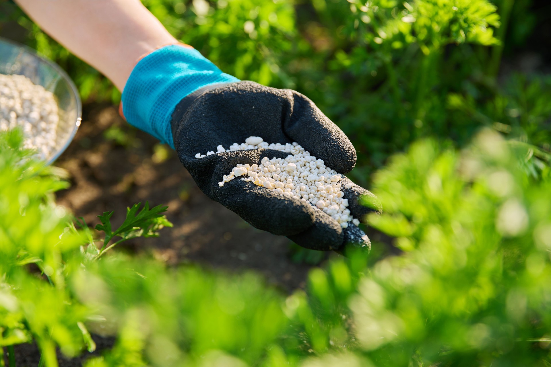 Close-up mineral granulation fertilizer in hand, outdoor