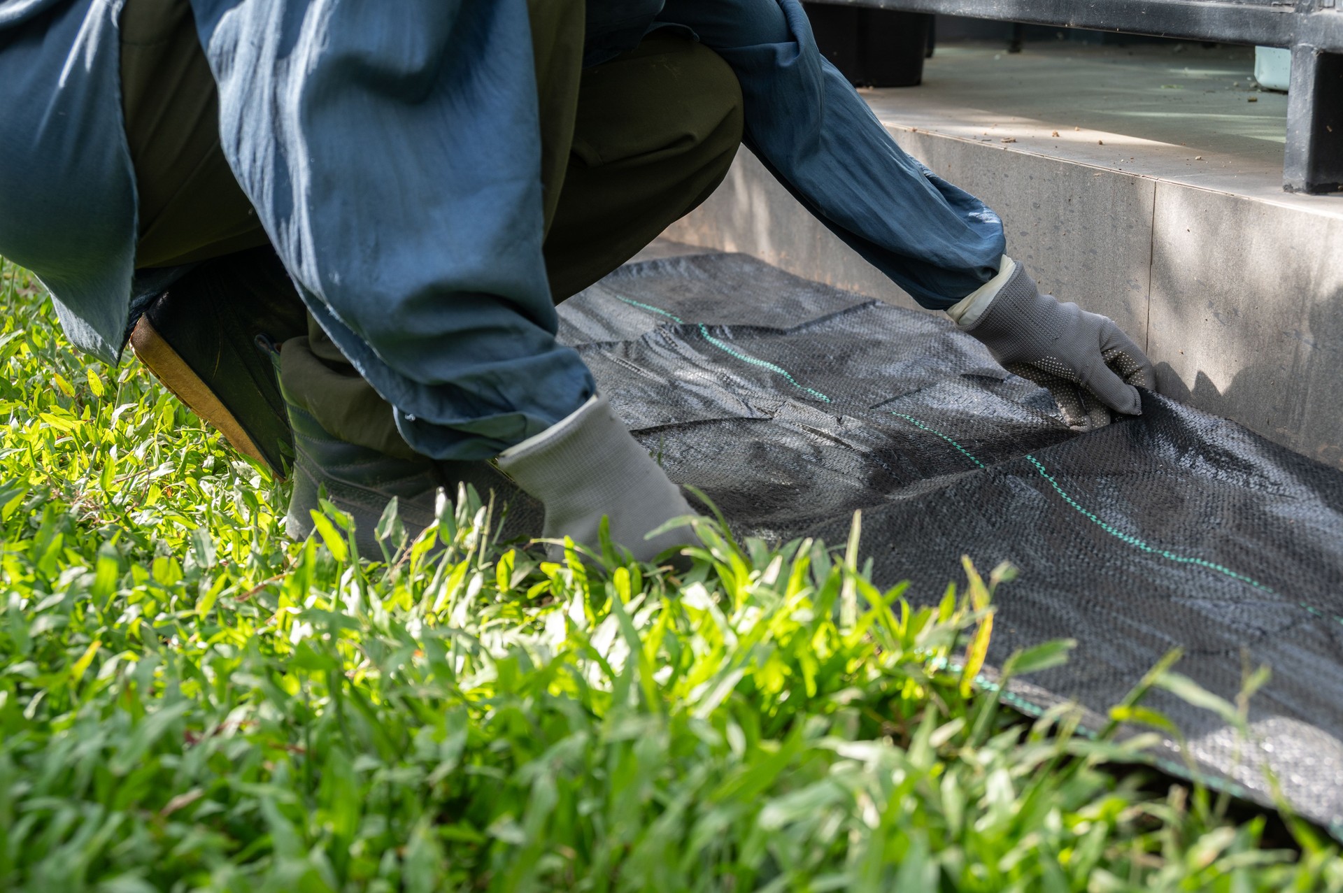 Gardener using black plastic sheeting for preventing weed growth by covered soil.